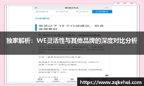 独家解析：WE灵活性与其他品牌的深度对比分析